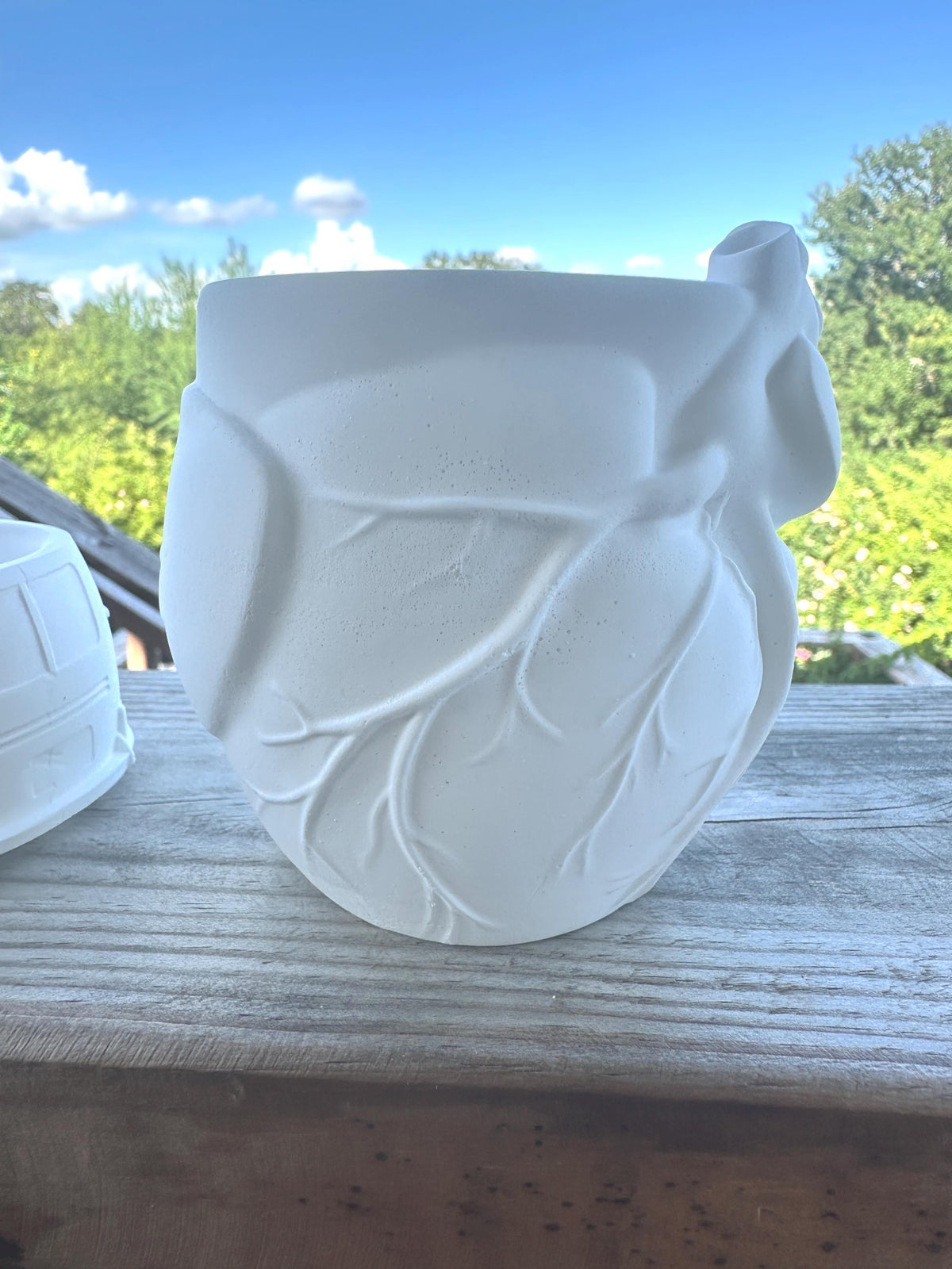 Anatomical Heart Planter, Paint Your Own DIY Ceramic Resin Kit, Succulent Pot