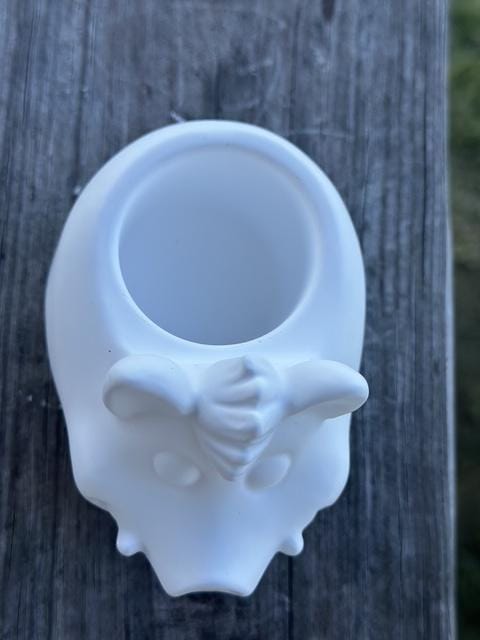 Ceramic Resin Mini Wild Boar Planter- Paint Your Own Masterpiece. Succulent planter
