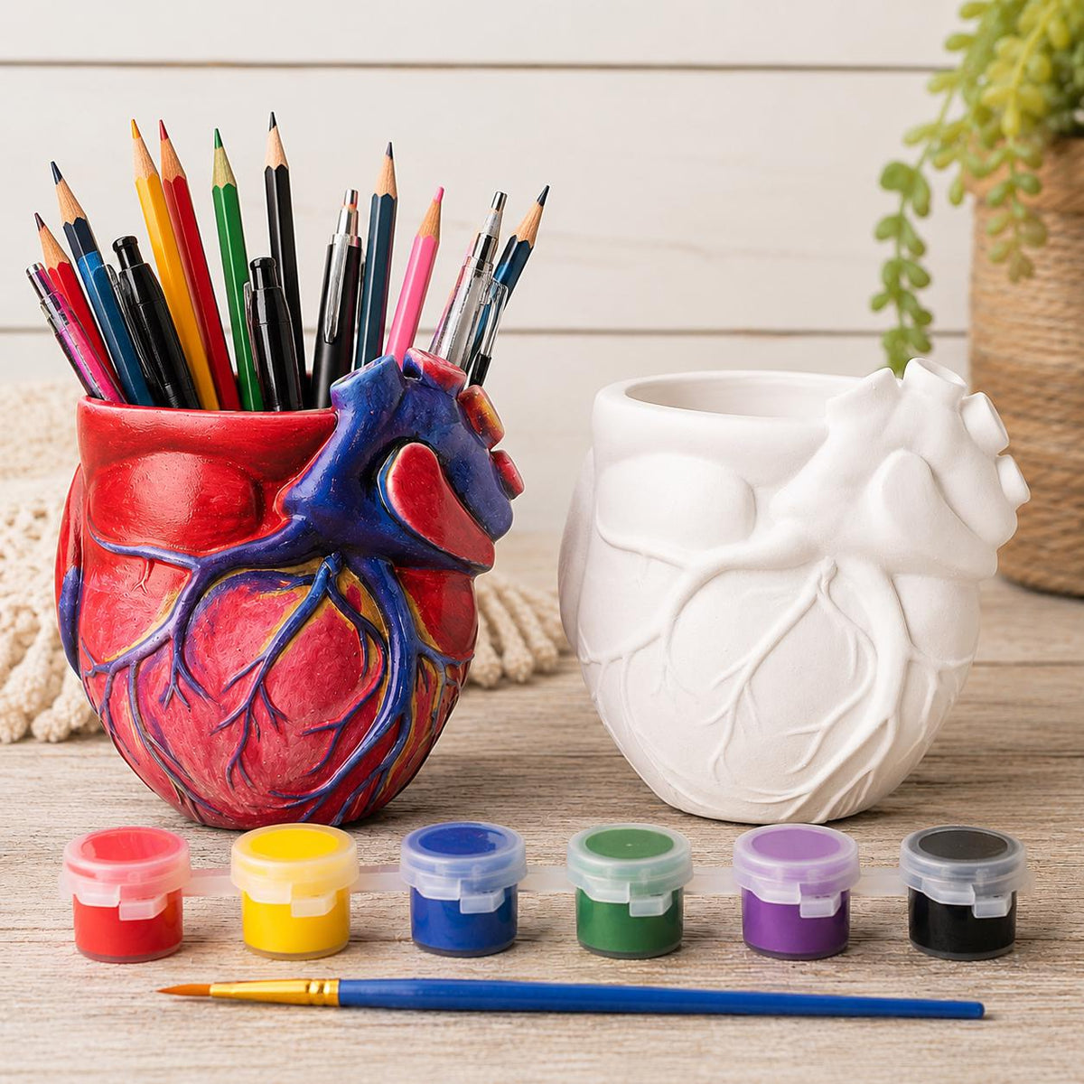 Anatomical Heart Planter, Paint Your Own DIY Ceramic Resin Kit, Succulent Pot