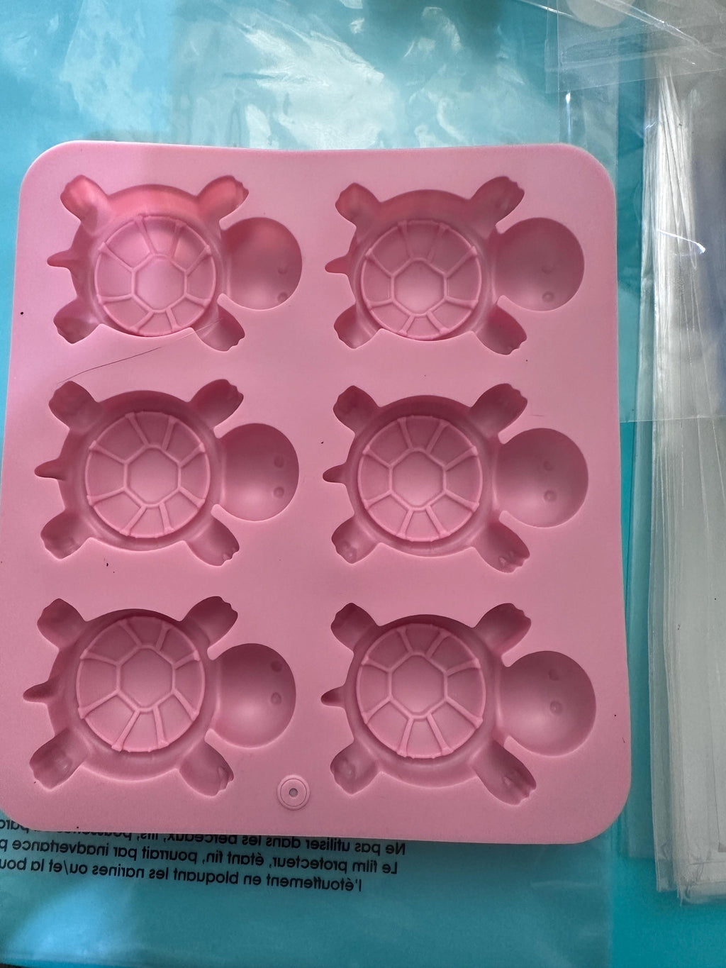 Turtle DIY Plaster Starter Kit. Create your own party favors.