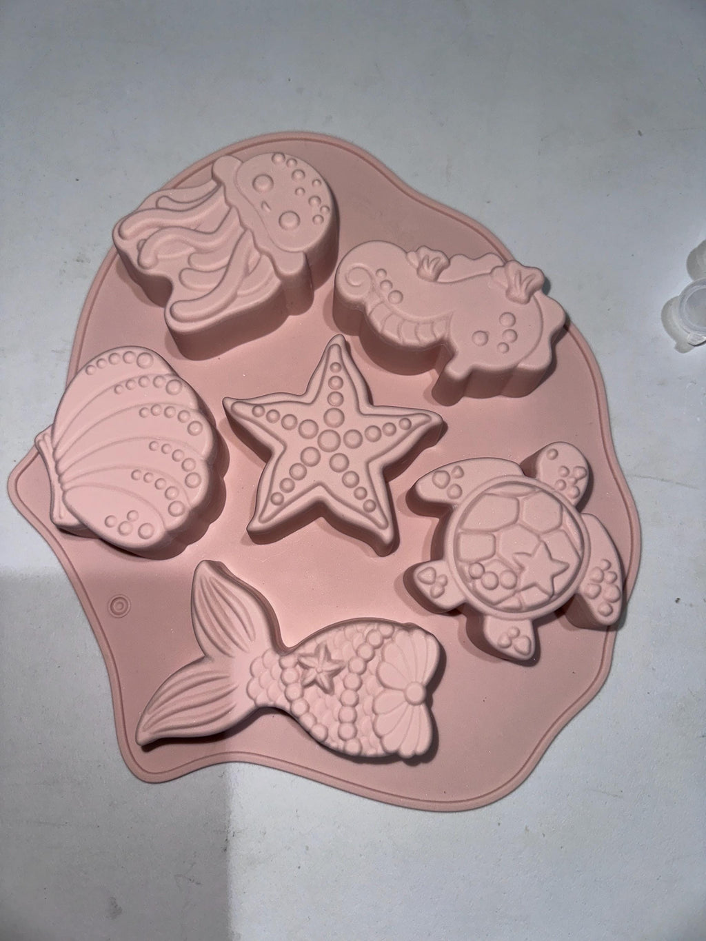 Sealife DIY Plaster Starter Kit. Create your own party favors.