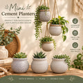 Mini Cement Pots, Small Planters, Succulent Pots, Concrete Planters, Boho Home Decor, Rustic Plant Pots, Handmade Gift