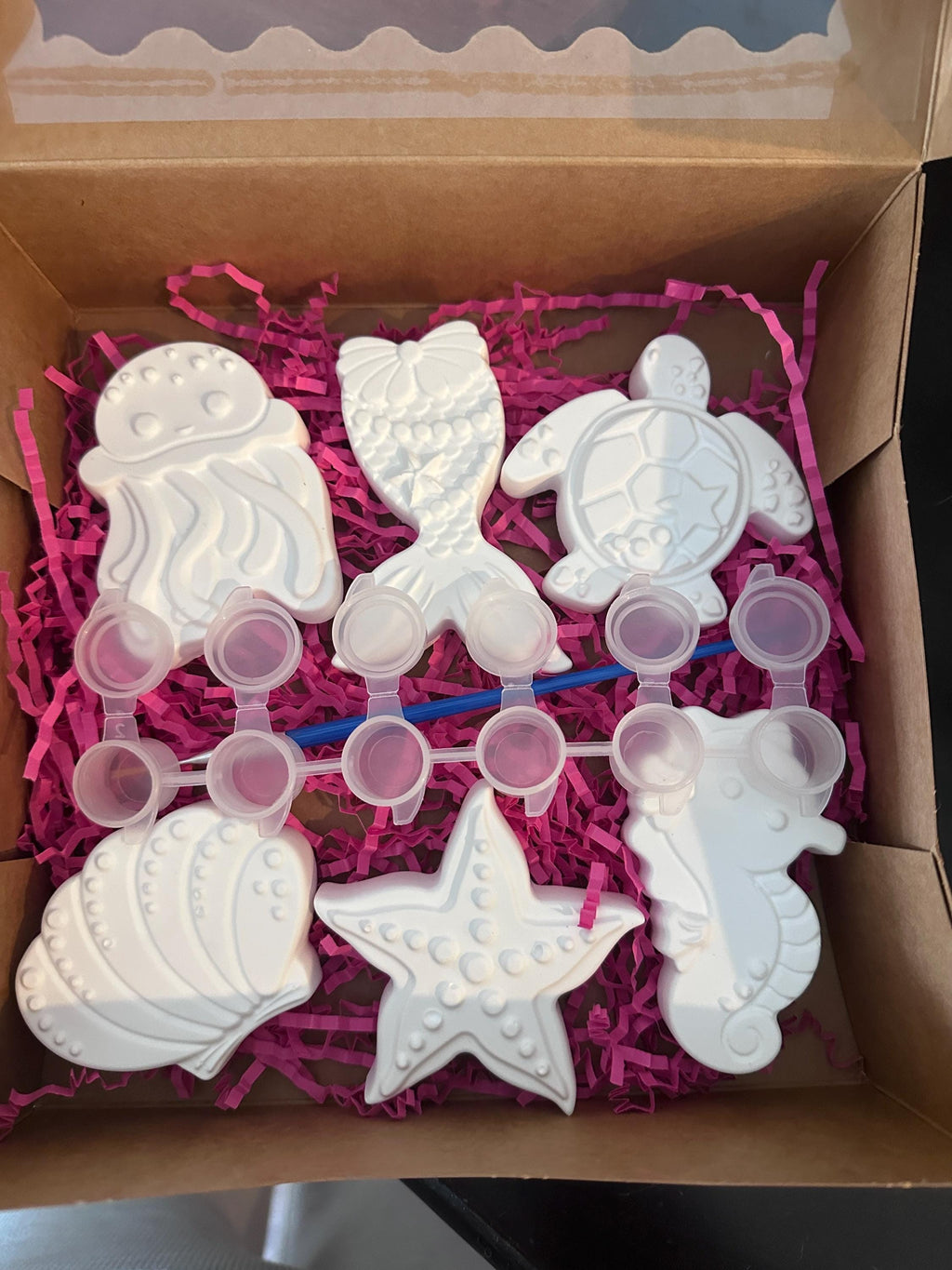 Sealife DIY Plaster Starter Kit. Create your own party favors.