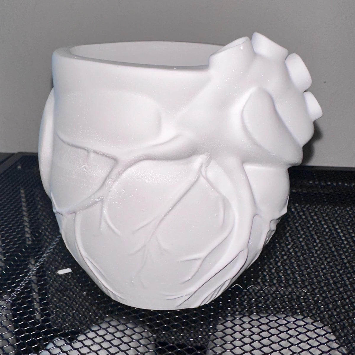 Anatomical Heart Planter, Paint Your Own DIY Ceramic Resin Kit, Succulent Pot